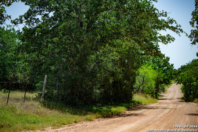 Listing photo id 32 for Tract 2 10+-- Acres County Road 426