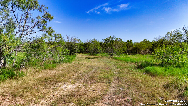 Listing photo id 6 for Tract 2 10+-- Acres County Road 426