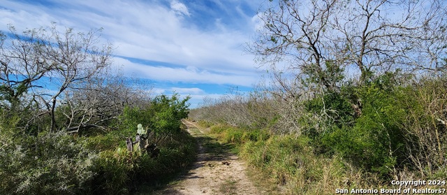 Image 13 of 21 For 00 Boca Chica Road