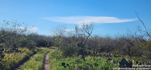 Image 14 of 21 For 00 Boca Chica Road