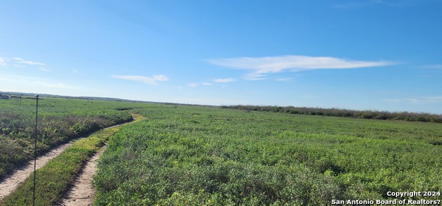 Image 5 of 21 For 00 Boca Chica Road