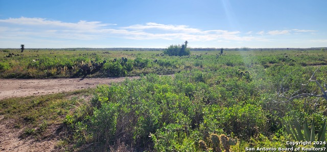 Image 6 of 21 For 00 Boca Chica Road