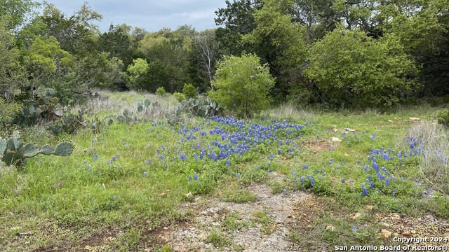 Image 12 of 39 For 1351 Purgatory Rd