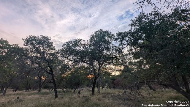 Image 8 of 17 For 61-a Antelope Run