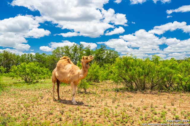 Listing photo id 11 for Tbd E Y O Ranch Road