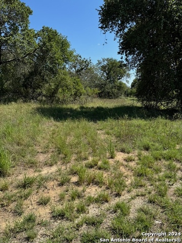 Details for Lot 4 County Road 788, Natalia, TX 78059