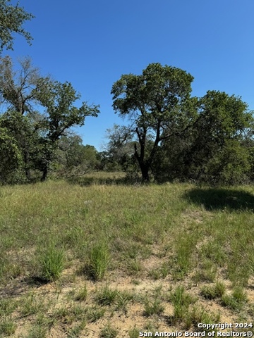 Image 9 of 16 For Lot 4 County Road 788