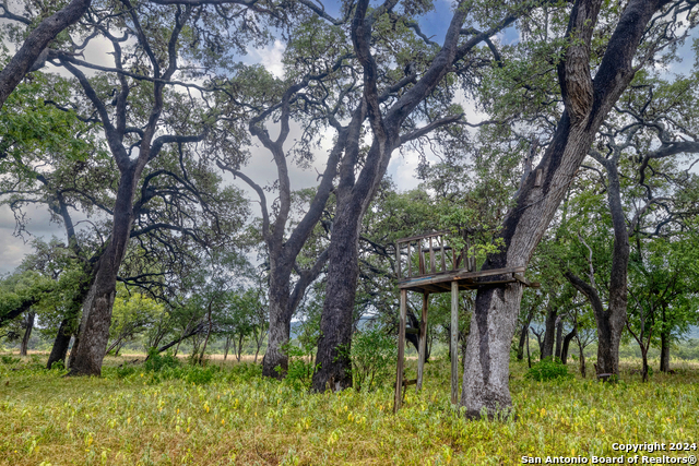 Image 61 of 84 For 20462 Tx Hwy 55 S