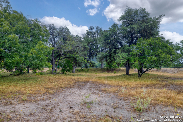 Image 66 of 84 For 20462 Tx Hwy 55 S