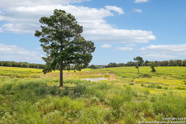 Image 34 of 50 For 264 Red Rock Ranch Rd