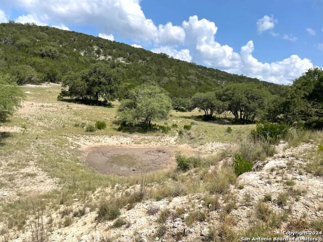 Listing photo id 81 for 20457 Hwy 55 S