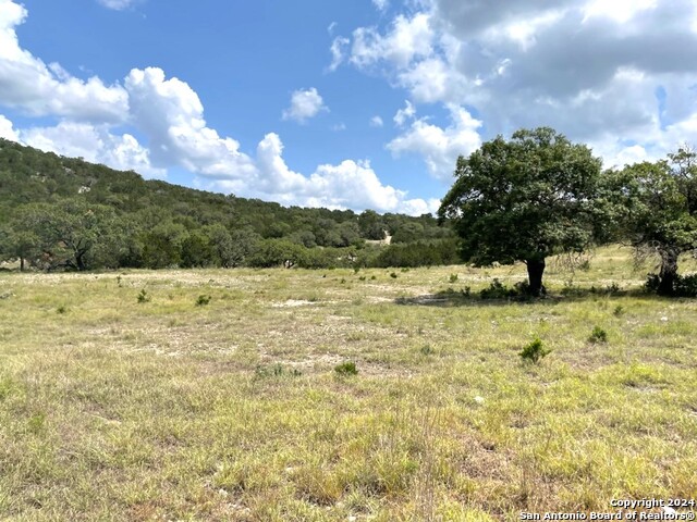 Listing photo id 82 for 20457 Hwy 55 S