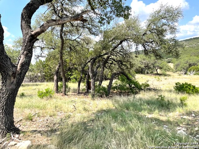 Listing photo id 83 for 20457 Hwy 55 S