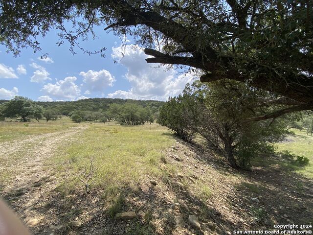 Listing photo id 90 for 20457 Hwy 55 S