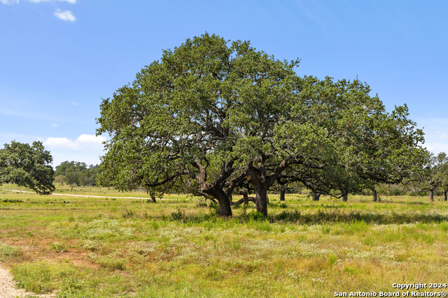 Image 10 of 17 For 435 Wolf Ranch Road