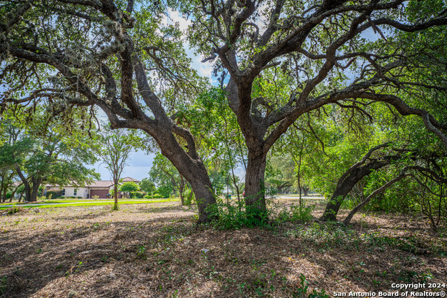 Listing photo id 8 for 13402 Lucas Cir