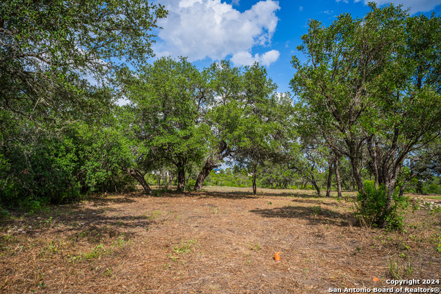 Listing photo id 9 for 13402 Lucas Cir