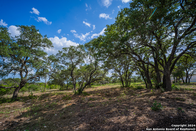 Listing photo id 23 for 13402 Lucas Cir