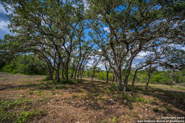 Listing photo id 24 for 13402 Lucas Cir