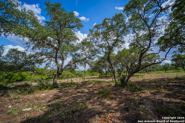 Listing photo id 25 for 13402 Lucas Cir