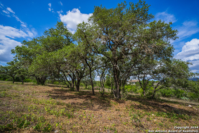 Listing photo id 26 for 13402 Lucas Cir
