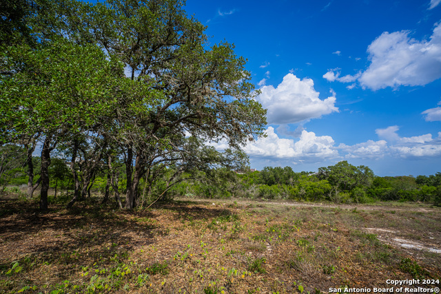 Listing photo id 27 for 13402 Lucas Cir