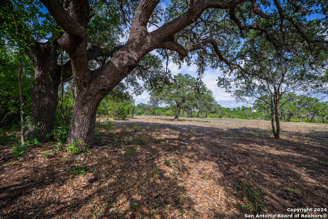 Listing photo id 1 for 13402 Lucas Cir