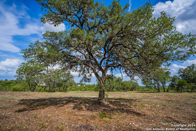 Listing photo id 2 for 13402 Lucas Cir