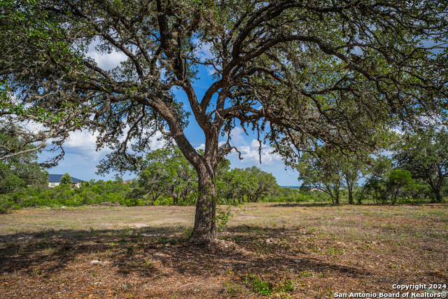 Listing photo id 3 for 13402 Lucas Cir