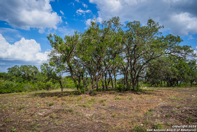 Listing photo id 4 for 13402 Lucas Cir
