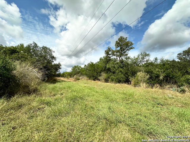 Listing photo id 9 for 1797 County Road 1660