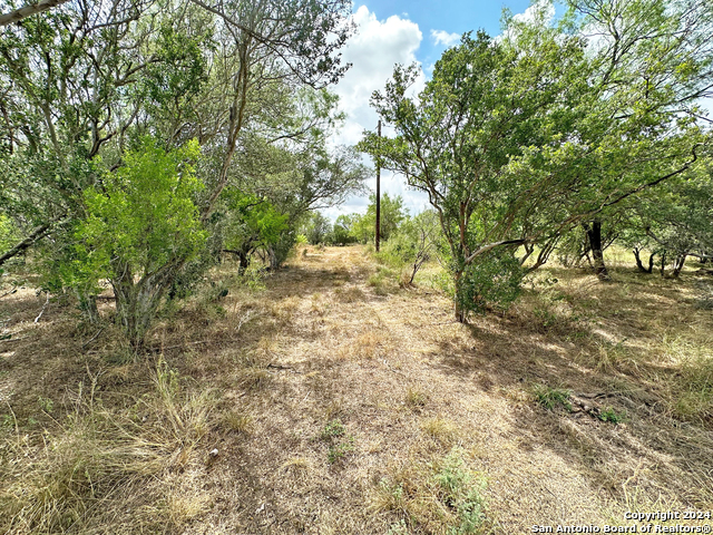 Listing photo id 10 for 1797 County Road 1660