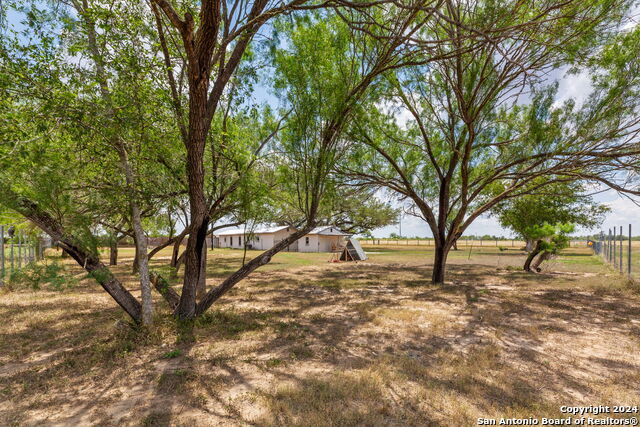 Listing photo id 35 for 1797 County Road 1660