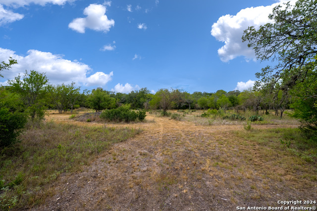 Details for 247 County Road 4802, Castroville, TX 78009