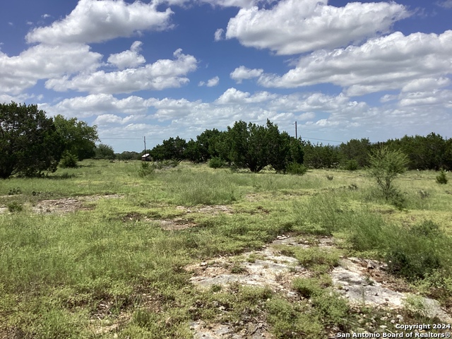 Image 6 of 16 For 304 White Oak