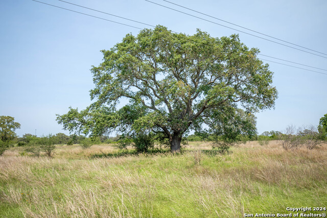 Image 35 of 49 For Tbd Green Dewitt Rd