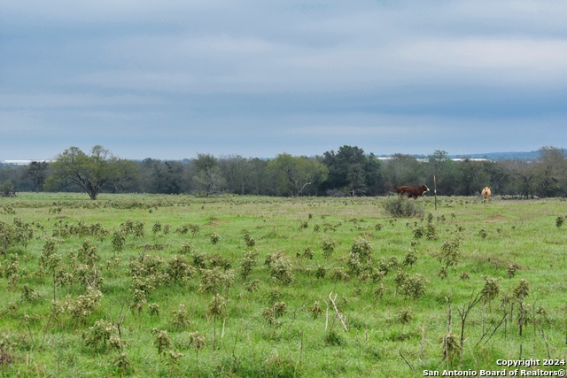 Details for Lot 6 Tenney Creek Road, Luling, TX 78648