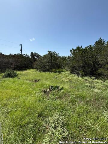 Image 3 of 16 For 0 Blue Bonnet Hill Dr