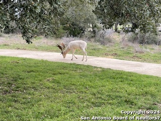 Image 47 of 59 For 268 San Marcos Trail