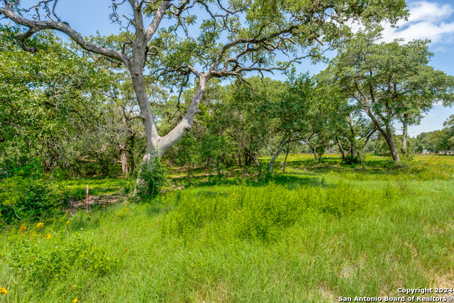 Image 8 of 18 For 161 Chisum Trl