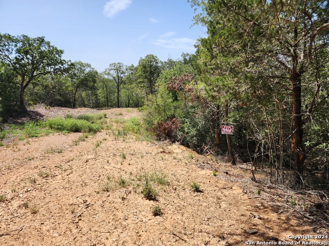 Details for Lot 310 Kalihi Court, Bastrop, TX 78602