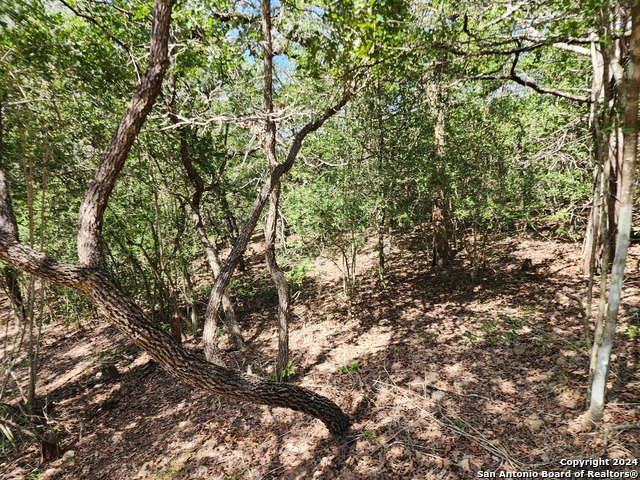 Image 7 of 10 For Lot 310 Kalihi Court