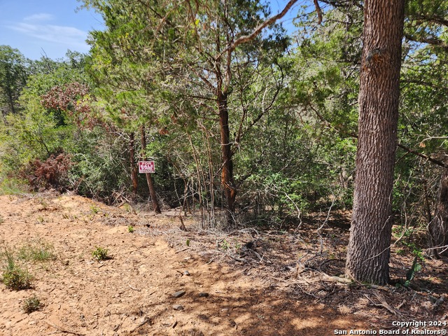 Image 8 of 10 For Lot 310 Kalihi Court