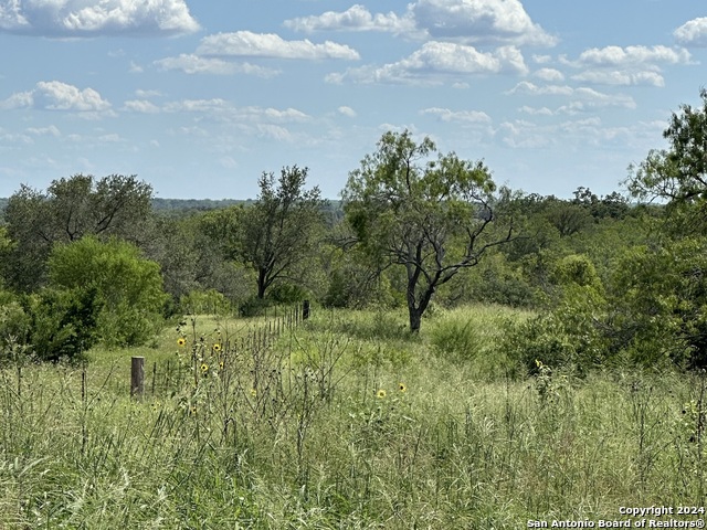 Details for 500 Goliad Rd, Floresville, TX 78114