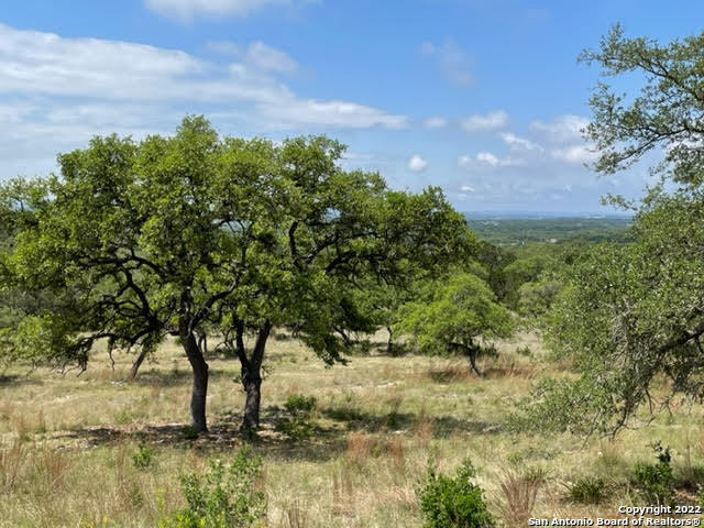 Details for 1074 Madrone Rd, Fischer, TX 78623