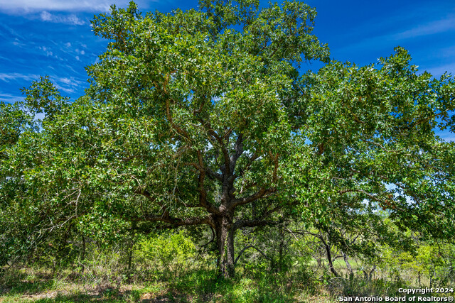 Image 33 of 37 For 266 Broken Arrow