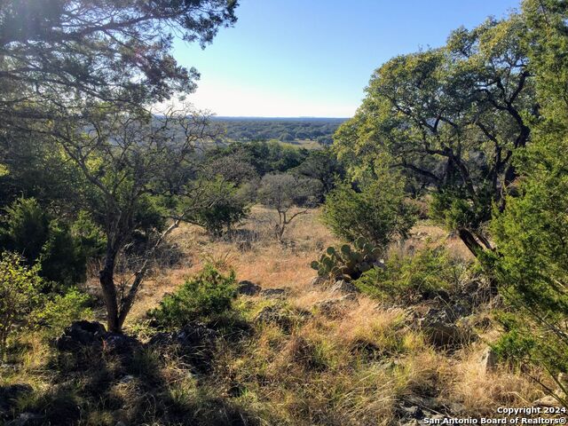 Details for 447 Coyote Trail, Spring Branch, TX 78070