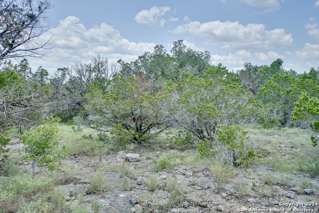 Image 7 of 10 For 447 Coyote Trail