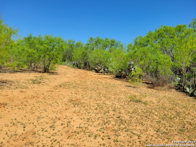 Details for Tbd Lot 3 Cr 7421, Yancey, TX 78886