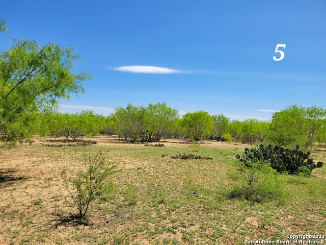Image 13 of 29 For Tbd Lot 3 Cr 7421